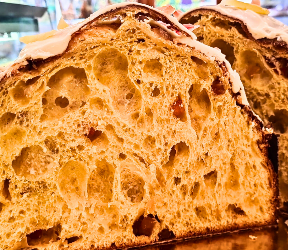 Panettone cioccolato bianco e frutti esotici