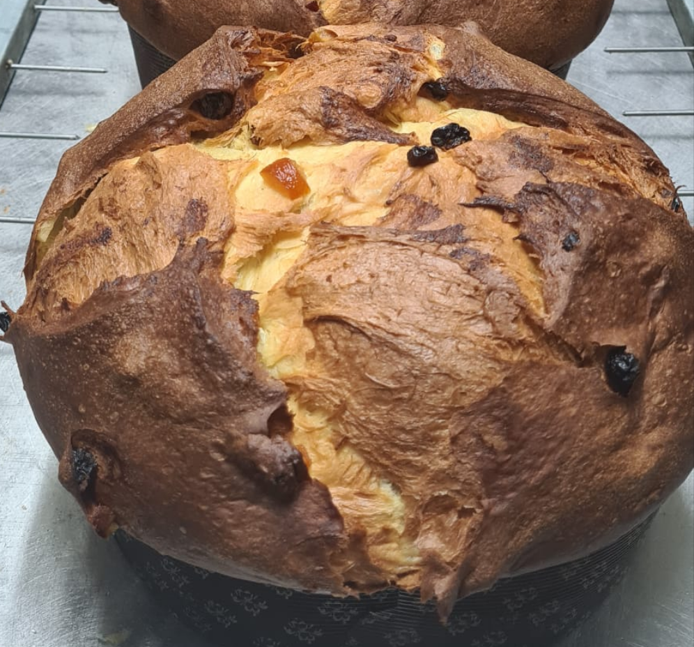 Panettone Tradizionale Milano senza canditi, con uvetta